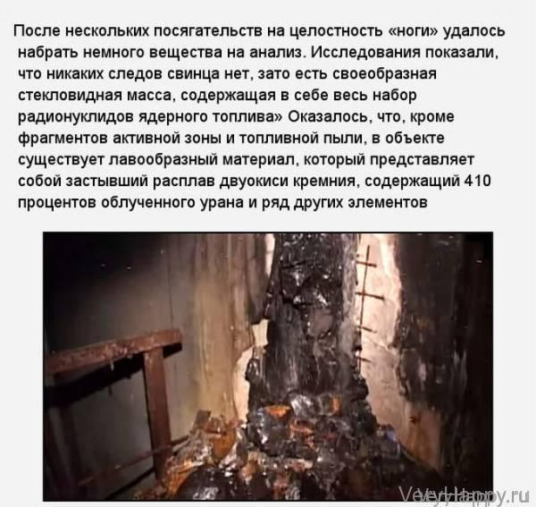 «Слоновья нога» в зоне отчуждения Чернобыльской АЭС (11 фото)