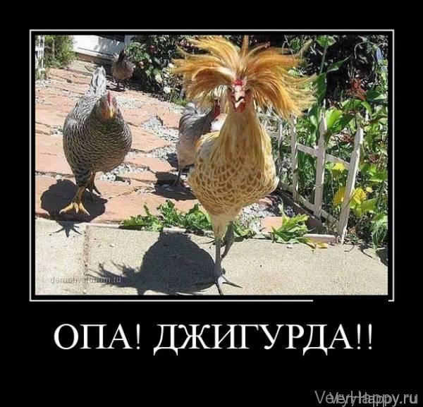 Демотиваторы пятницы (30 картинок)