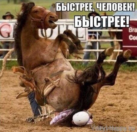 Юмор от мега отрыв 73