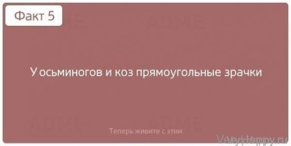 Теперь живите с этим! 10 шокирующих фактов