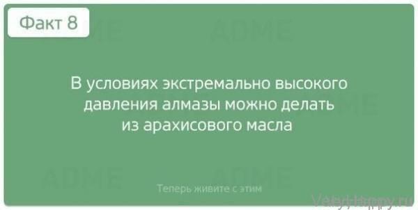 Теперь живите с этим! 10 шокирующих фактов