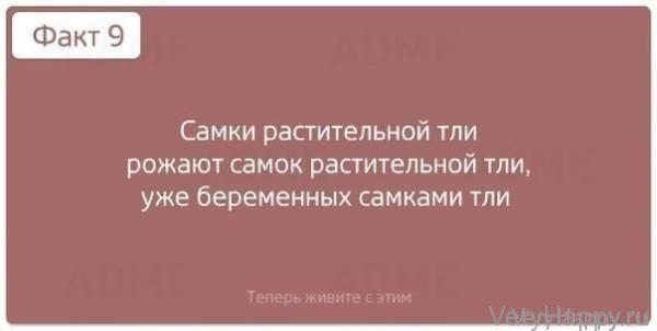 Теперь живите с этим! 10 шокирующих фактов