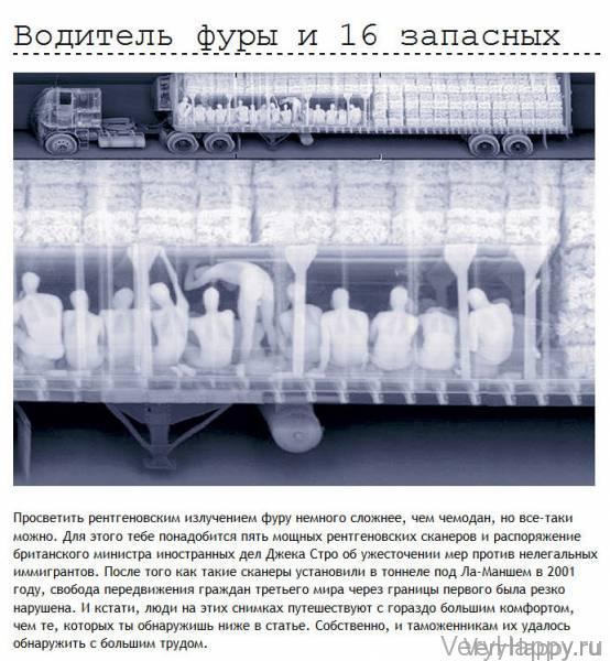Провалы находчивых контрабандистов и нелегалов (12 фото)