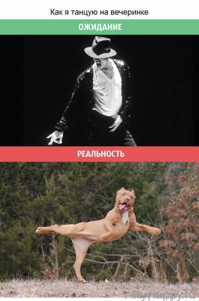 Мужские ожидания и суровая реальность (12 фото)