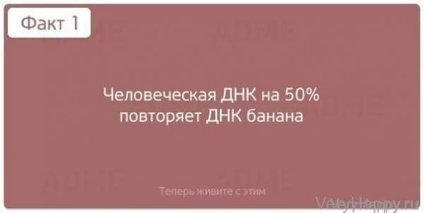 Теперь живите с этим! 10 шокирующих фактов