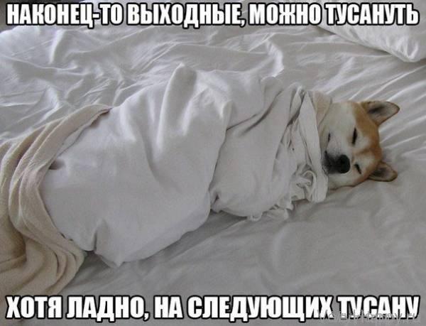 Весёлые анекдоты в конце недели (12 шт)