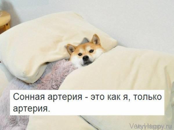 Анекдоты-коротыши (11 шт) от 25.02.2015