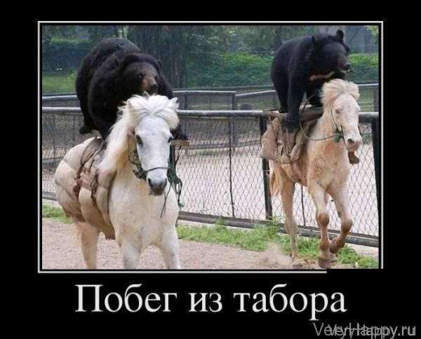 Демотиваторы пятницы (30 картинок)