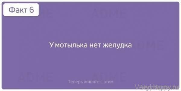 Теперь живите с этим! 10 шокирующих фактов