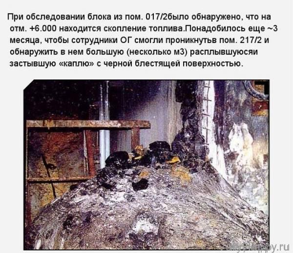 «Слоновья нога» в зоне отчуждения Чернобыльской АЭС (11 фото)