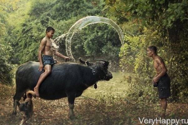 Красота Таиланда от Saravut Whanset