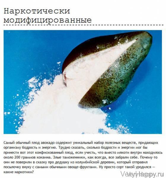 Провалы находчивых контрабандистов и нелегалов (12 фото)