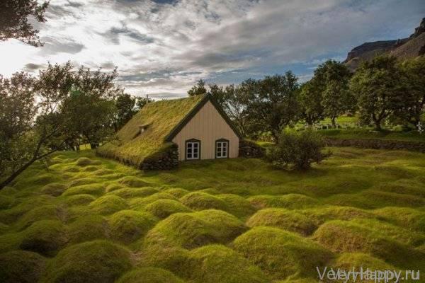 Наша удивительная планета (50 фото)