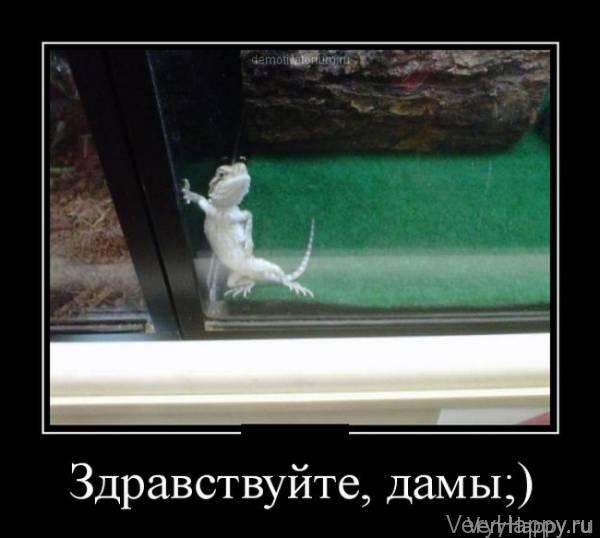 Демотиваторы пятницы (30 картинок)