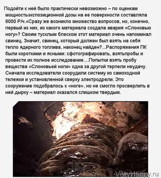 «Слоновья нога» в зоне отчуждения Чернобыльской АЭС (11 фото)