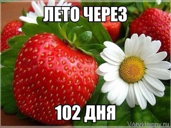 Лайк если ждешь.