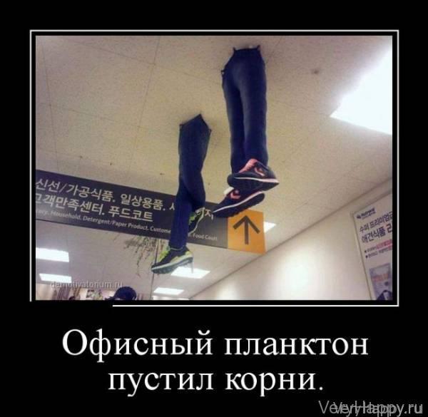 Демотиваторы пятницы (30 картинок)