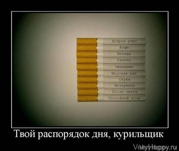 Демотиваторы четверга (30 картинок)