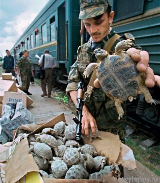 Провалы находчивых контрабандистов и нелегалов (12 фото)