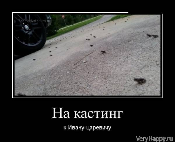 Демотиваторы пятницы (30 картинок)