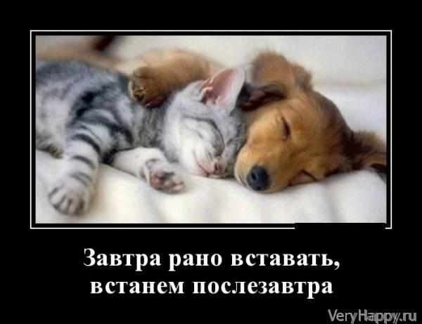 Демотиваторы пятницы (30 картинок)