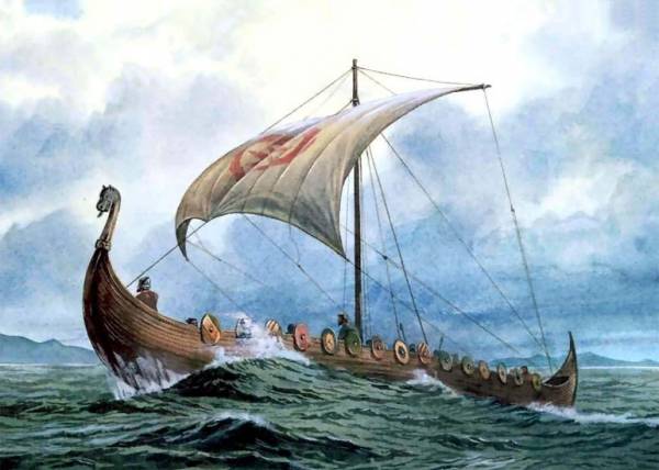 Чему современный человек может научиться у викингов (5 фото)