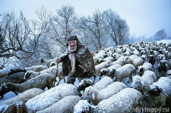 18 финалистов конкурса фотографии Sony World Photo Awards 2015