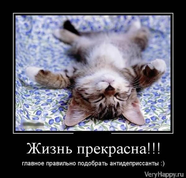 Демотиваторы пятницы (30 картинок)