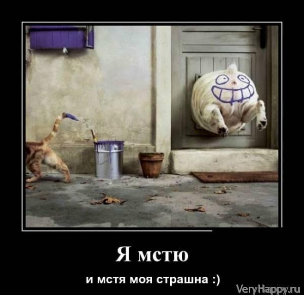 Демотиваторы пятницы (30 картинок)