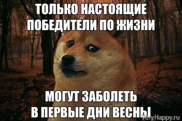 Подборка прикольных картинок из социальных сетей пятницы (30 фото)