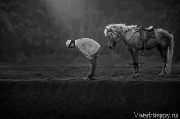 18 финалистов конкурса фотографии Sony World Photo Awards 2015