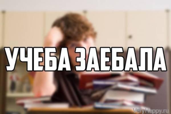 Подборка прикольных картинок из социальных сетей пятницы (30 фото)